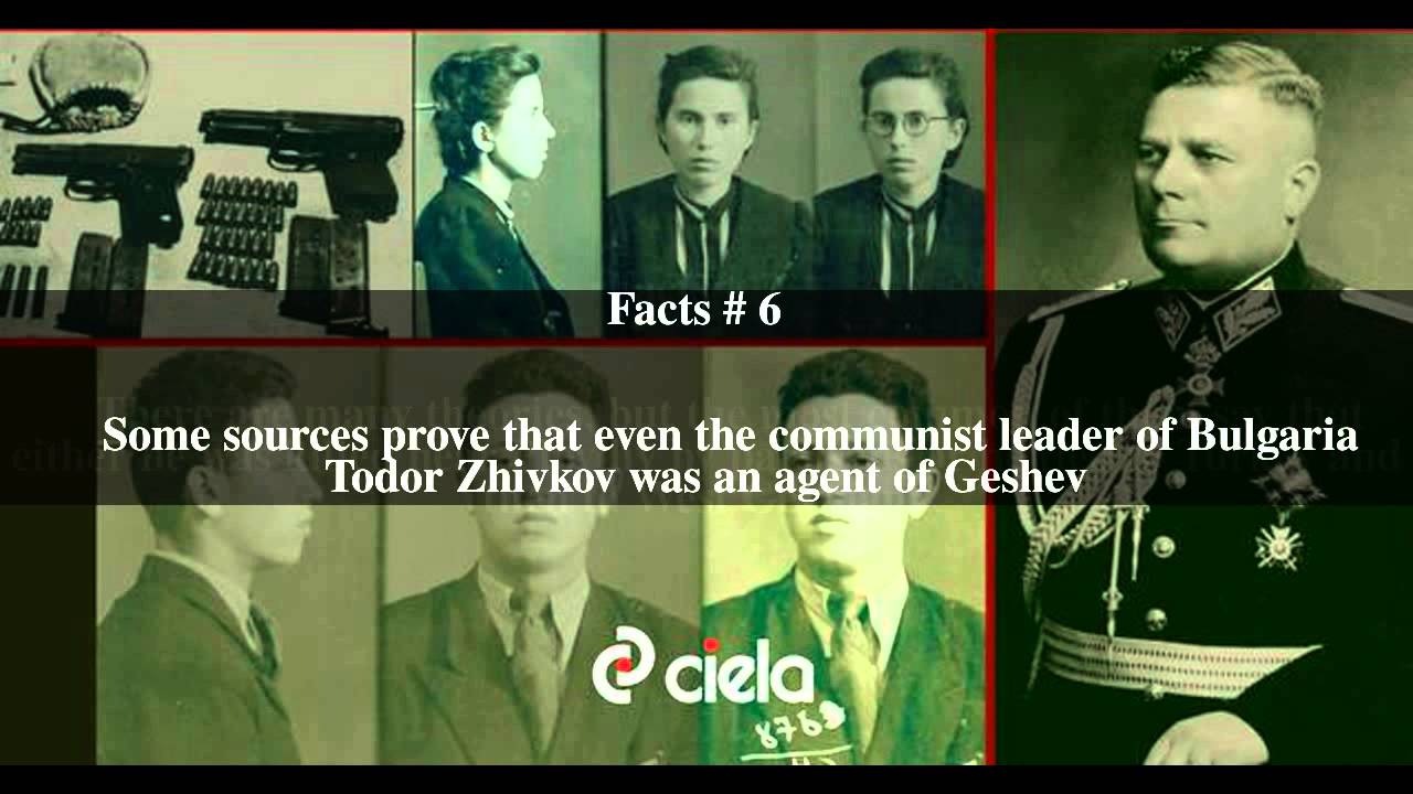 Nikola Geshev Top # 9 Facts