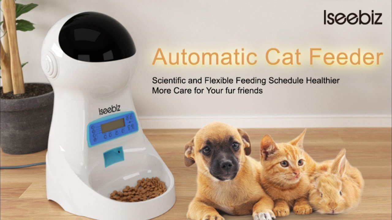 Automatic Cat Feeder YouTube