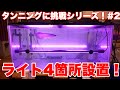 【タンニングに挑戦シリーズ!#2】タンニング設備設置するよ! #アロワナ #高級魚 #aquarium #アクアリウム #大型魚 #アジアアロワナ #アロワナ #古代魚 #紅龍