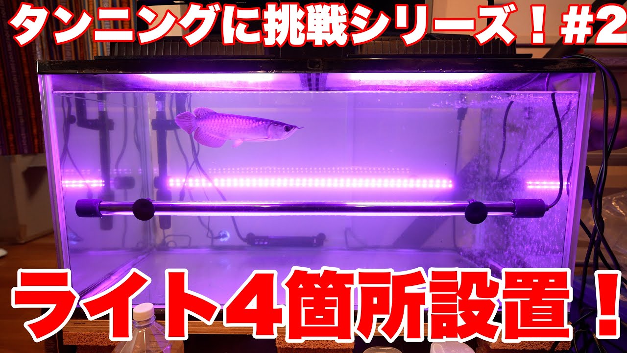 Tanning Challenge Series! #2] We're installing tanning equipment