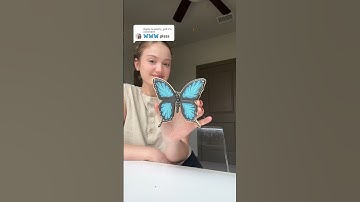 What should I make next?🦋recipes and supplies linked in my bio🍪 #cookiedecorating #asmr