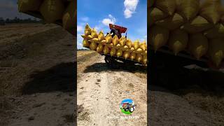 Trator de arroz em subida Bom #agrimotor #western tractortv #trator #western #trator kubota