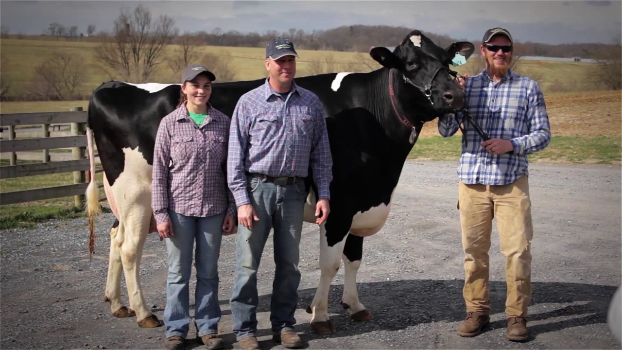 Winding River Farms YouTube