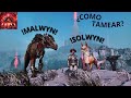Tameo del MALWYN y SOLWYN paso a paso | ARK SURVIVAL ASCENDED