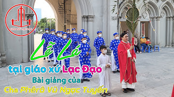 Bài giảng Lễ Lá của Cha Phêrô Vũ Ngọc Tuyến