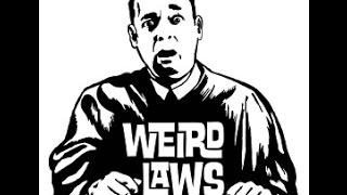 Top 7 Weird And Crazy Law In The World
