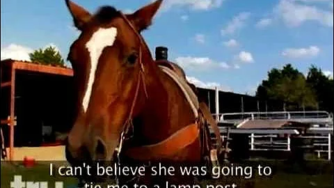 Principal's Office - Student Rides Horse to School