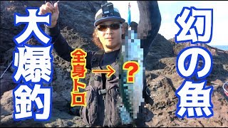 マグロの味に匹敵する幻の魚がたくさん釣れた