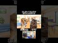 【猫ミーム】ママに弟が欲しいとお願いした結果...！ww #shorts #猫ミーム #猫 #猫マニ #実話