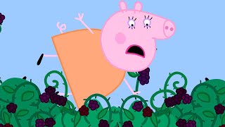 ペッパピッグ | Peppa Pig Japanese | シーズン4 エピソード 22 | 子供向けアニメ