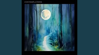 Contemplations (part 1)