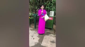 Đường vô xứ nghệ quanh quanh non xanh nước biếc như tranh hoạ đồ( quê hương bác hồ)