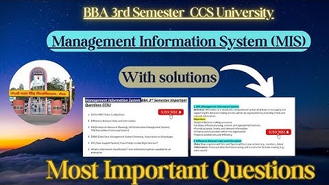 Management Information System Important questions || BBA 3rd Semester CCS university #bba #CCSU