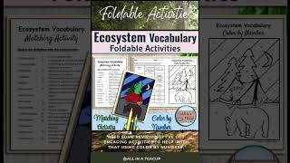 Ecosystem Vocabulary Foldable Camping Color by Number and Matching Activity