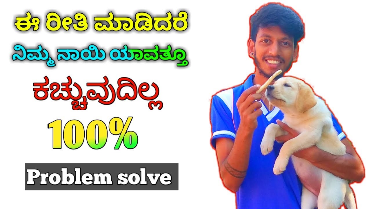 Quickest Way To Stop Puppy/ dog play Biting puppy biting training in