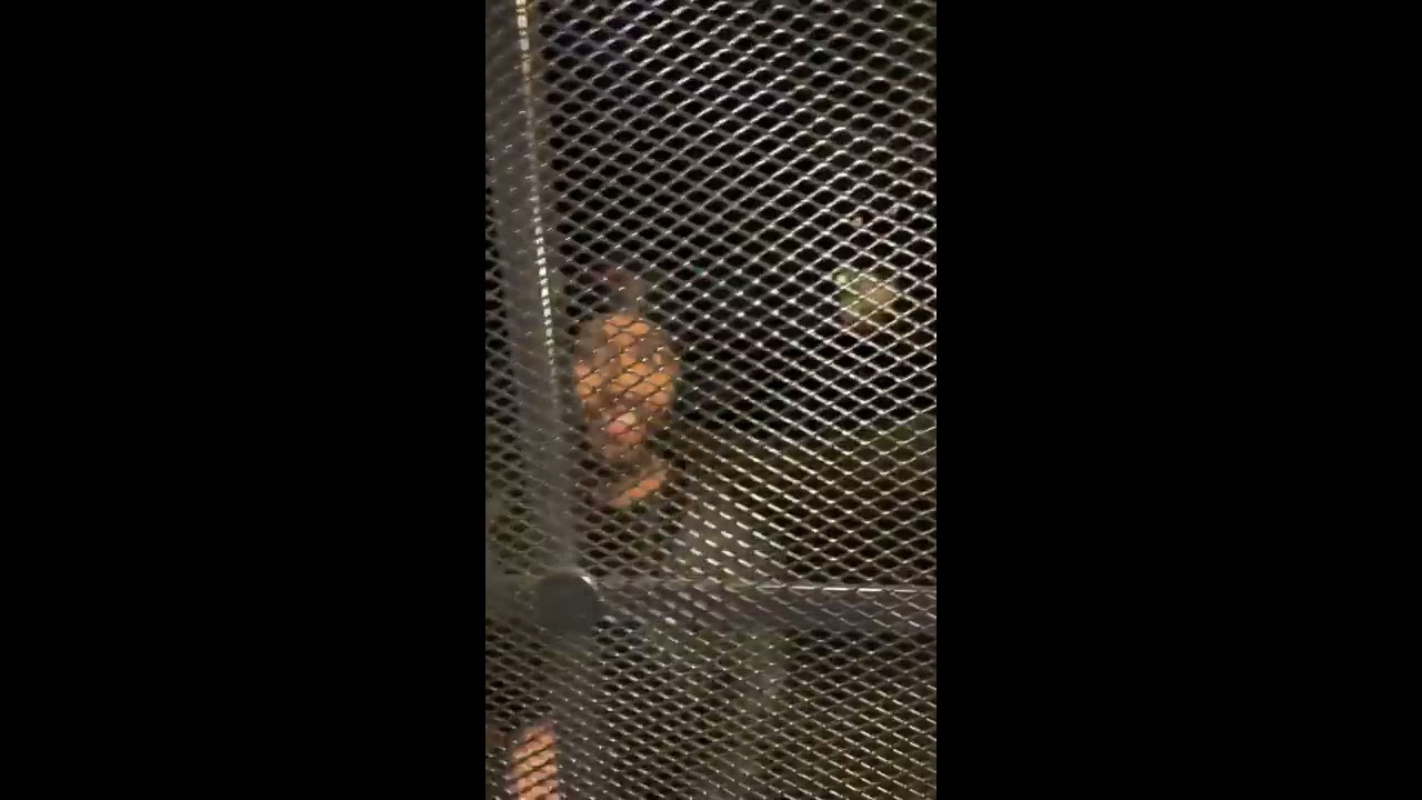 Tell Em All снова пытается подставить Домоника