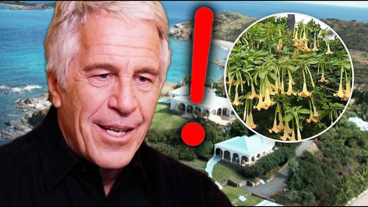 Les Dernières Révélations CHOC sur l’Île d’Epstein (Epstein Files 2026) !