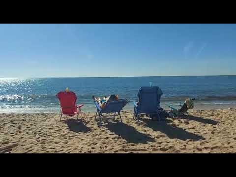 Jornada de playa 7 Nov 2022