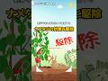 ナメクジの対策と効果的な駆除方法
