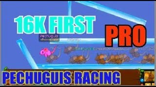 16K First Racing