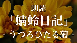 蜻蛉日記 うつろひたる菊 朗読 原文 現代語訳 Youtube