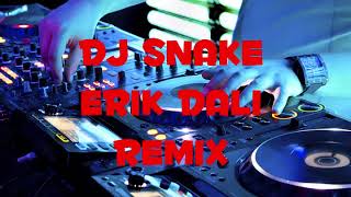 Dj Snake   Erik Dalı Remix Resimi