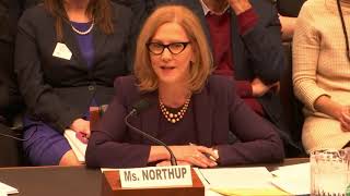 Center for Reproductive Rights CEO Congressional Testimony on Law to Protect Abortion Access