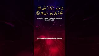 Surah Al Insan Ayat 29 -
