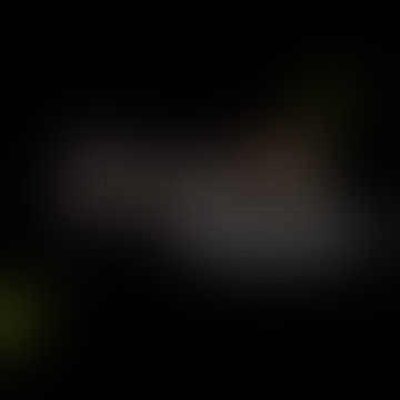 👑RAJA MANUS HA DILDAR👑