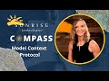 Model Context Protocol