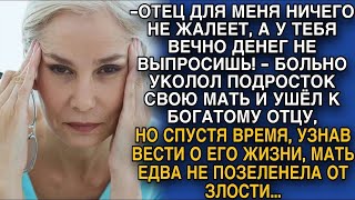 картинка: Больно обидев мать сын ушёл к богатому отцу, но узнав о нём, женщина чуть не позеленела от злости