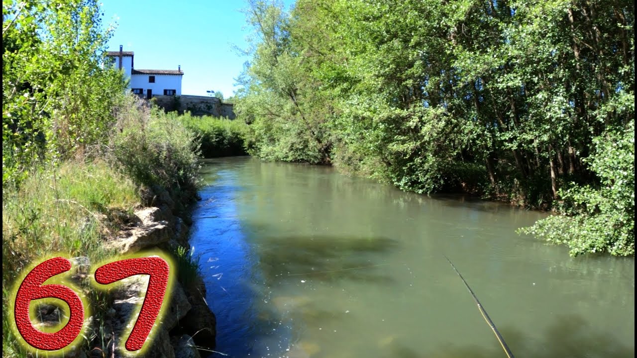 Despedida de Castilla y León en el río Carrión || Palencia || #67