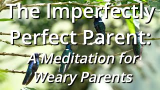 The Imperfectly Perfect Parent