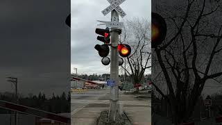 American Active🚂Railroad🚂2Track Gate🚨Closing🚨Flashing🚨Lights🔔Bell🔔ASMR [Kent WA USA]