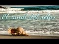 MUSICA RELAJANTE PARA MEDITACIÓN JUNTO AL MAR, RELAXING MUSIC FOR MEDITATION WITH WAVES. 🎧