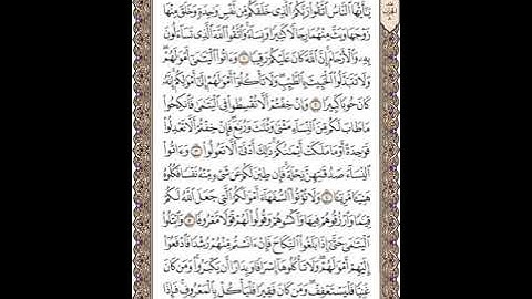 سورة النساء للشيخ زكي داغستاني رحمه الله