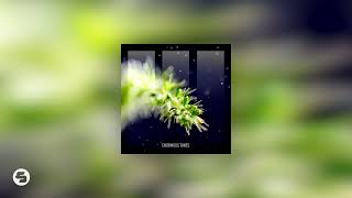 Daniel Portman - Blue Collar