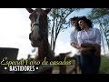 BASTIDORES • ESPECIAL UM ANO DE CASADOS