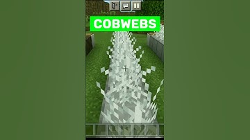 How SLOW Can You Go in Minecraft? #Shorts #ytshorts #ytstudio #youtubeshorts