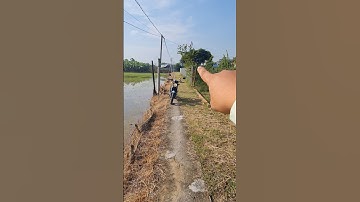 134m2 đất thổ cư ao gòn xã tân lân cần đước Long An Giá  670 triệu