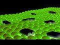 Samsung Logo Balls In 4ormulator V75 