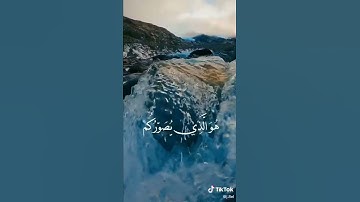 راحة نفسية🎧😴|قرآن بصوت عبد الرحمن مسعد تلاوة هادئة تريح النفس 💛🦋|ستوريات قرآن