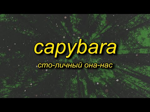 Сто-Личный Она-Нас - Capybara (Lyrics) | Capybara Song TikTok