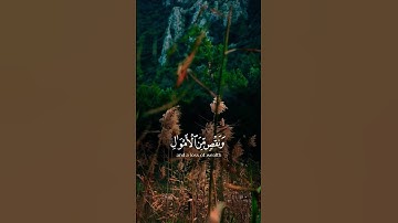 سورة البقره .وبشر الصابرين #القرآن_الكريم #اكسبلور #المصحف #اسلاميات