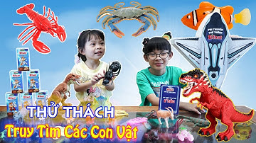 Trò chơi bé đi săn các con vật vui nhộn 💎 AnAn ToysReview TV 💎