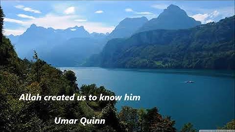 Allah created us to know him by Umar Quinn