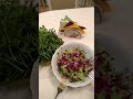 Салат из зелени