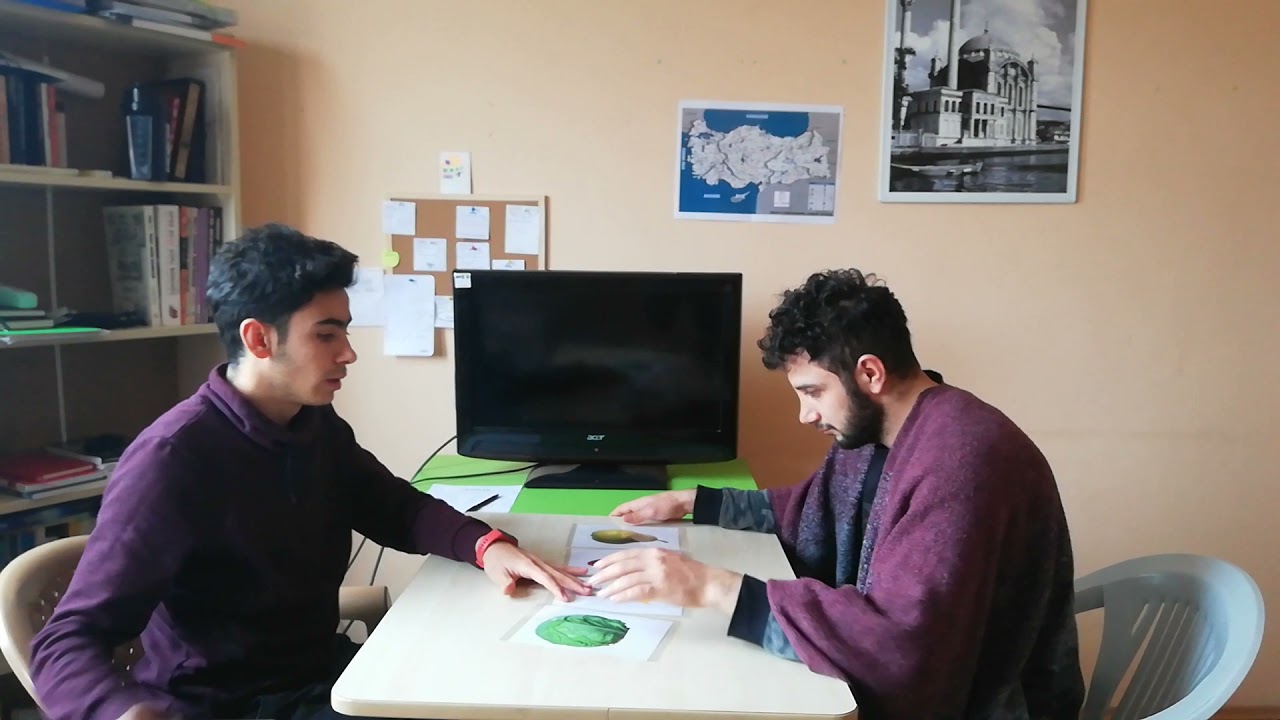 Özel Eğitim de Öğretim Öncesi Performans Alımı