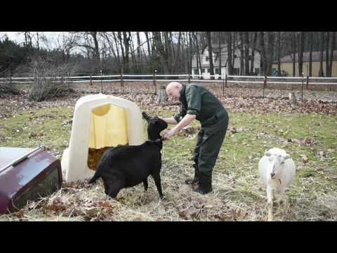 Reality TV star Dr. Pol talks about life behind the scenes