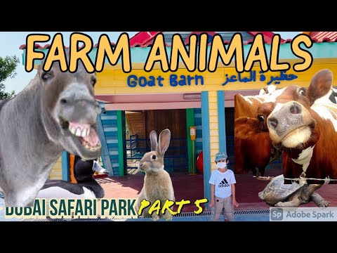 FARM ANIMALS -